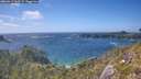 ./images/calvert/foggy-cove/20260617/foggy-cove20260617_163501M.jpg