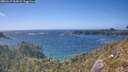 ./images/calvert/foggy-cove/20260617/foggy-cove20260617_164501M.jpg