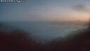 ./images/calvert/foggy-cove/20260618/foggy-cove20260618_043001M.jpg