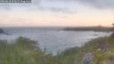 ./images/calvert/foggy-cove/20260618/foggy-cove20260618_052501M.jpg