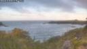 ./images/calvert/foggy-cove/20260618/foggy-cove20260618_055501M.jpg