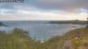 ./images/calvert/foggy-cove/20260618/foggy-cove20260618_061002M.jpg
