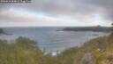./images/calvert/foggy-cove/20260618/foggy-cove20260618_064001M.jpg