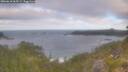 ./images/calvert/foggy-cove/20260618/foggy-cove20260618_065501M.jpg