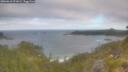 ./images/calvert/foggy-cove/20260618/foggy-cove20260618_071001M.jpg