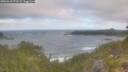 ./images/calvert/foggy-cove/20260618/foggy-cove20260618_071501M.jpg