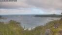 ./images/calvert/foggy-cove/20260618/foggy-cove20260618_072001M.jpg