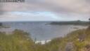 ./images/calvert/foggy-cove/20260618/foggy-cove20260618_072501M.jpg