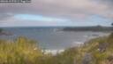 ./images/calvert/foggy-cove/20260618/foggy-cove20260618_073501M.jpg