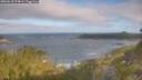 ./images/calvert/foggy-cove/20260618/foggy-cove20260618_074001M.jpg