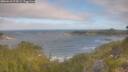./images/calvert/foggy-cove/20260618/foggy-cove20260618_074501M.jpg