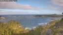 ./images/calvert/foggy-cove/20260618/foggy-cove20260618_075002M.jpg