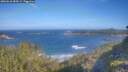 ./images/calvert/foggy-cove/20260618/foggy-cove20260618_084501M.jpg