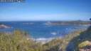 ./images/calvert/foggy-cove/20260618/foggy-cove20260618_092001M.jpg