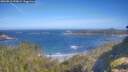 ./images/calvert/foggy-cove/20260618/foggy-cove20260618_093001M.jpg