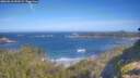 ./images/calvert/foggy-cove/20260618/foggy-cove20260618_093501M.jpg