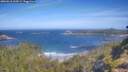 ./images/calvert/foggy-cove/20260618/foggy-cove20260618_100501M.jpg