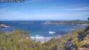 ./images/calvert/foggy-cove/20260618/foggy-cove20260618_101001M.jpg