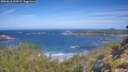 ./images/calvert/foggy-cove/20260618/foggy-cove20260618_101501M.jpg