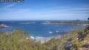 ./images/calvert/foggy-cove/20260618/foggy-cove20260618_102001M.jpg