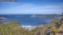 ./images/calvert/foggy-cove/20260618/foggy-cove20260618_103001M.jpg