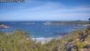 ./images/calvert/foggy-cove/20260618/foggy-cove20260618_103501M.jpg