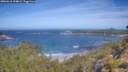 ./images/calvert/foggy-cove/20260618/foggy-cove20260618_104001M.jpg