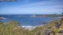 ./images/calvert/foggy-cove/20260618/foggy-cove20260618_104501M.jpg