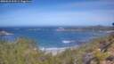 ./images/calvert/foggy-cove/20260618/foggy-cove20260618_105501M.jpg