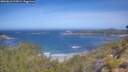 ./images/calvert/foggy-cove/20260618/foggy-cove20260618_110001M.jpg