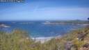./images/calvert/foggy-cove/20260618/foggy-cove20260618_110502M.jpg