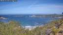 ./images/calvert/foggy-cove/20260618/foggy-cove20260618_111002M.jpg