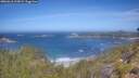 ./images/calvert/foggy-cove/20260618/foggy-cove20260618_113002M.jpg