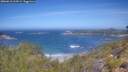 ./images/calvert/foggy-cove/20260618/foggy-cove20260618_113501M.jpg