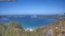 ./images/calvert/foggy-cove/20260618/foggy-cove20260618_135501M.jpg