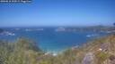 ./images/calvert/foggy-cove/20260618/foggy-cove20260618_142001M.jpg