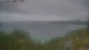 ./images/calvert/foggy-cove/20260619/foggy-cove20260619_045501M.jpg