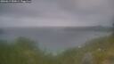 ./images/calvert/foggy-cove/20260619/foggy-cove20260619_050001M.jpg