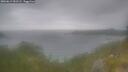 ./images/calvert/foggy-cove/20260619/foggy-cove20260619_051502M.jpg