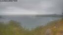 ./images/calvert/foggy-cove/20260619/foggy-cove20260619_052501M.jpg