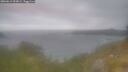 ./images/calvert/foggy-cove/20260619/foggy-cove20260619_053001M.jpg
