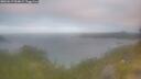 ./images/calvert/foggy-cove/20260619/foggy-cove20260619_054002M.jpg