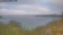 ./images/calvert/foggy-cove/20260619/foggy-cove20260619_061501M.jpg
