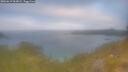./images/calvert/foggy-cove/20260619/foggy-cove20260619_062001M.jpg