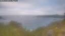 ./images/calvert/foggy-cove/20260619/foggy-cove20260619_062501M.jpg