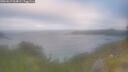 ./images/calvert/foggy-cove/20260619/foggy-cove20260619_064001M.jpg