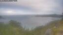 ./images/calvert/foggy-cove/20260619/foggy-cove20260619_064501M.jpg