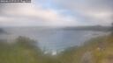 ./images/calvert/foggy-cove/20260619/foggy-cove20260619_071501M.jpg