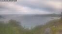 ./images/calvert/foggy-cove/20260619/foggy-cove20260619_072002M.jpg