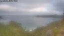 ./images/calvert/foggy-cove/20260619/foggy-cove20260619_074002M.jpg